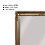 French Provincial Ornate Mirror - ANTIQUE CHAMPAGNE - X Large 100cm x 190cm - Top-Down View