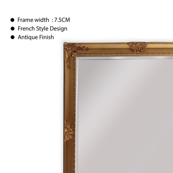 French Provincial Ornate Mirror - Country Gold - Medium 70cm x 170cm, image 2