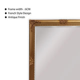 French Provincial Ornate Mirror - Gold - Free Standing 50cm x 170cm - Side View