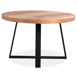 Petunia 5pc 120cm Round Dining Table Set 4 Cross Back Chair Elm Timber Wood - Side View