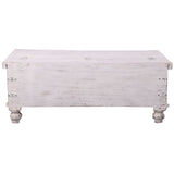Surya Coffee Table Antique Handcrafted Solid Mango Wood Storage Trunk Chest Box - 45-Degree Angle