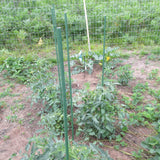 10x 8mm Garden Plant Stakes 90cm Steel Plant Stick Support Stakes Growing Climbing Plants - Top-Down View