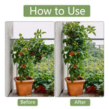 10x 8mm Garden Plant Stakes 90cm Steel Plant Stick Support Stakes Growing Climbing Plants - Rear View