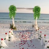 Set of 2 76cm Artificial Eucalyptus Greenery - Faux Plants for Home, Office, and Event Decoration - 45-Degree Angle