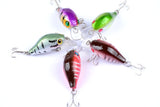5x 5.5cm Popper Crank Bait Fishing Lure Lures Surface Tackle Saltwater - Top-Down View