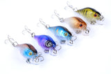 5x 4.3cm Popper Crank Bait Fishing Lure Lures Surface Tackle Saltwater - Front View