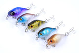 5x 4.3cm Popper Crank Bait Fishing Lure Lures Surface Tackle Saltwater - Top-Down View