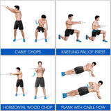 Single D Handle Cable Machine Attachment for Lat Pull Down and Row Exercises