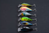 6x 8cm Popper Crank Bait Fishing Lure Lures Surface Tackle Saltwater - Front View