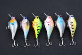 6x 8cm Popper Crank Bait Fishing Lure Lures Surface Tackle Saltwater - Side View
