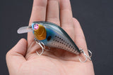 6x 8cm Popper Crank Bait Fishing Lure Lures Surface Tackle Saltwater - Top-Down View