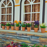 10x 6cm Flower Pot Pots Clay Ceramic Plant Drain Hole Succulent Cactus Nursery Planter - Side View