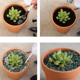 10x 6cm Flower Pot Pots Clay Ceramic Plant Drain Hole Succulent Cactus Nursery Planter - Rear View