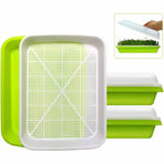 2-Pack Seed Sprouter Trays with Lids BPA-Free, Soil-Free Wheatgrass Growing Kit for Beans, Sprouts, Microgreens