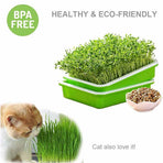 2-Pack Seed Sprouter Trays with Lids BPA-Free, Soil-Free Wheatgrass Growing Kit for Beans, Sprouts, Microgreens