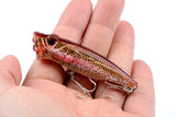 4X 6.5cm Popper Poppers Fishing Lure Lures Surface Tackle Fresh Saltwater - Side View
