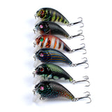 6x Popper Poppers 5cm Fishing Lure Lures Surface Tackle Fresh Saltwater - Top-Down View