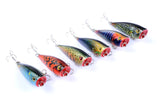 6X 6cm Popper Poppers Fishing Lure Lures Surface Tackle Fresh Saltwater - Side View