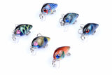 6x 3cm Popper Crank Bait Fishing Lure Lures Surface Tackle Saltwater - Front View