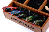 5X 8cm Popper Poppers Fishing Lure Lures Surface Tackle Fresh Saltwater - Side View