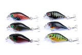 6x 4.3cm Popper Crank Bait Fishing Lure Lures Surface Tackle Saltwater - Front View