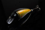 5x 8.5cm Popper Crank Bait Fishing Lure Lures Surface Tackle Saltwater - Top-Down View