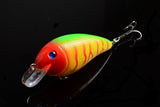 5x 8.5cm Popper Crank Bait Fishing Lure Lures Surface Tackle Saltwater - Close-Up Angle