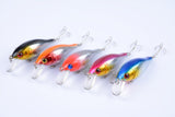 5x 7.5cm Popper Crank Bait Fishing Lure Lures Surface Tackle Saltwater - Front View