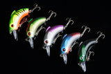 5x 5.5cm Popper Crank Bait Fishing Lure Lures Surface Tackle Saltwater - Top-Down View
