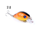 4x 5.5cm Popper Crank Bait Fishing Lure Lures Surface Tackle Saltwater - Rear View