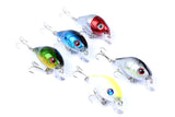 5x 5.5cm Popper Crank Bait Fishing Lure Lures Surface Tackle Saltwater - Side View