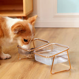 Pet Dog Cat Puppy Food Water Bowls Feeding Dishes 2 Large Bowl Dishwasher Safe - Rear View