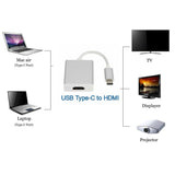 Mini USB-C to HDMI Adapter Cable for 1080P HD Video Output - Front View