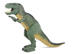 Dinosaur Planet Battery Operated Action Dinosaurs Tyrannosaurus Rex - Rear View