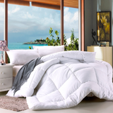 Luxurious All-Season 400 GSM Double Hotel Quilt Doona