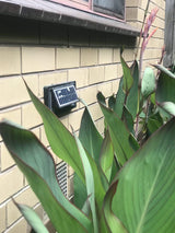 Solar Step Lights - 45-Degree Angle