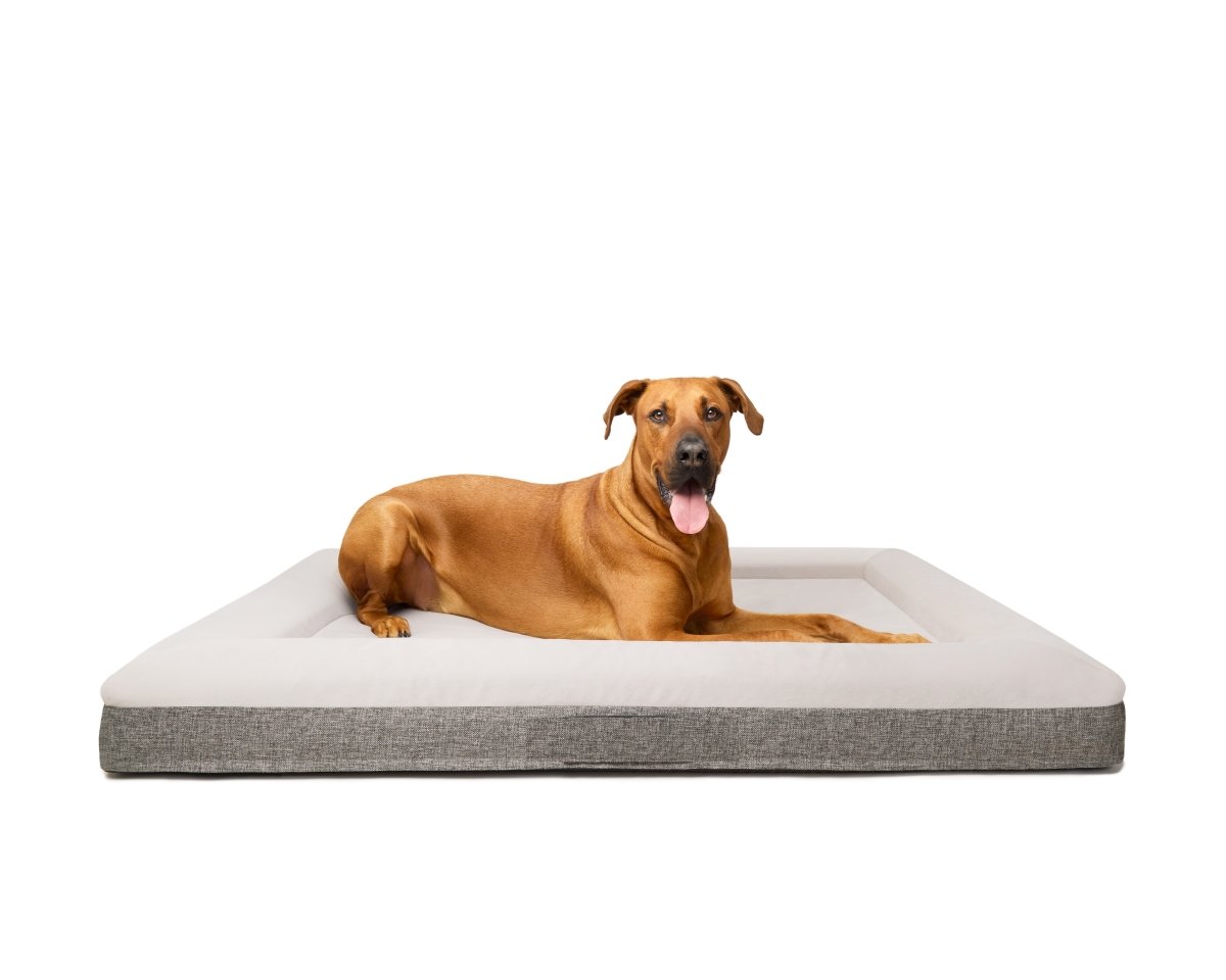 Fur King Ortho Orthopedic Dog Bed - XL