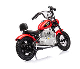 Single Rider Cruiser Bike 36V - Front View