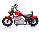 Single Rider Cruiser Bike 36V - Top-Down View