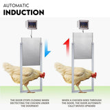Automatic Chicken Coop Door Opener Cage Closer Timer and Light Sensor