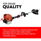 Whipper Snipper Straight Shaft Line Trimmer 31CC Pole Brush Cutter 4 STROKE
