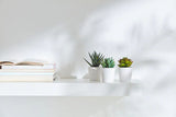 3 Pack of Artificial Succulent Potted Plants in White Plastic 6cm Pot Interior Decoration - Top-Down View