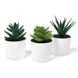 3 Pack of Artificial Succulent Potted Plants in White Plastic 6cm Pot Interior Decoration - 45-Degree Angle