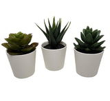3 Pack of Artificial Succulent Potted Plants in White Plastic 6cm Pot Interior Decoration - Rear View