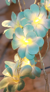 1 Set of 20 LED Tropical Blue Frangipani Flower Battery 3m String Lights Christmas Gift Home Wedding Beach Party Decoration Outdoor Table Centrepiece - Front View