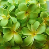 20 LED Green Frangipani Flower Battery-Powered String Lights for Home, Wedding, and Party Decorations - 3m Garland for Indoor and Outdoor Use