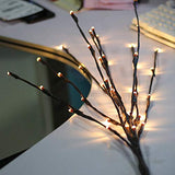 Warm White LED Branch Lights - 20 Bulb Fairy Light Stem, 50cm Height with On/Off Switch - Front View