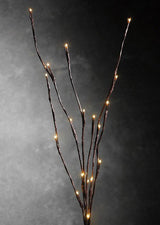 Warm White LED Branch Lights - 20 Bulb Fairy Light Stem, 50cm Height with On/Off Switch - Rear View