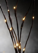 Warm White LED Branch Lights - 20 Bulb Fairy Light Stem, 50cm Height with On/Off Switch - Close-Up Angle