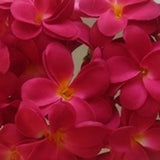 20 LED Deep Red Frangipani Flower Battery-Powered String Lights for Home, Wedding, and Party Decor - Versatile Outdoor Table Garland and Wreath
